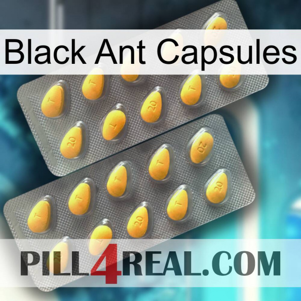 Black Ant Capsules cialis2.jpg